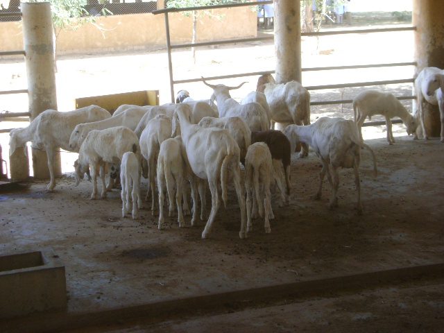 MISSION ESPAGNOLE 016