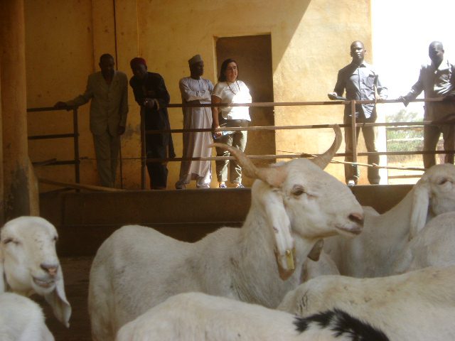 MISSION ESPAGNOLE 018